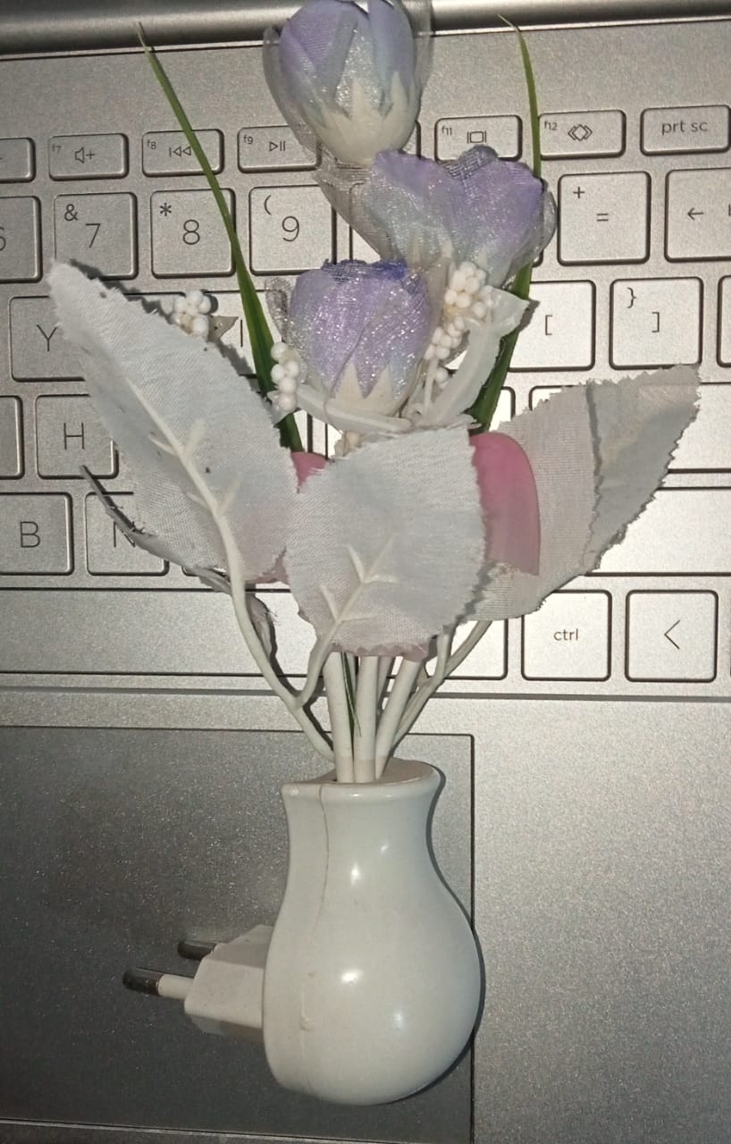 ড্রিম মাশরুম লাইট